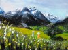 Virágos Svájci Alpok